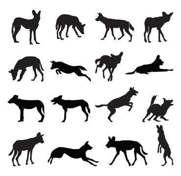 Wild dog silhouette vector illustration set.