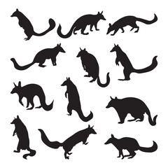 The Numbat silhouette vector illustration set.