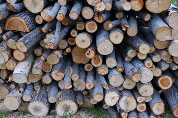 The background consists of a woodpile, of different diameters, round birch and aspen logs harvested for the winter for stove heating.Cutting down trees and shrubs.Sale, purchase of firewood.