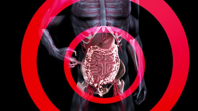 4K abstract animation of the gut microbiome
