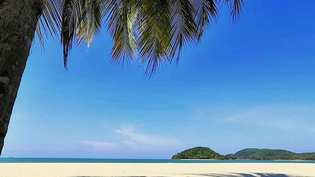 Paradise empty white sandy beach with palm trees in Malaysia