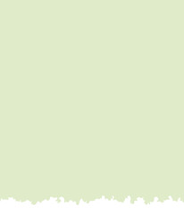 Obraz premium Green Ripped Paper Sheet