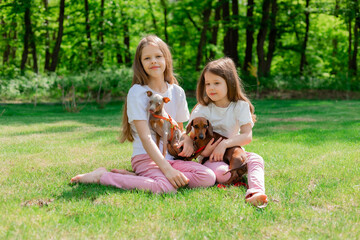 two happy little girls are walking in the park in the summer with their pets, small dogs dachshund and chihuahua. children's day