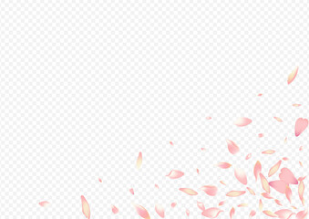 Light Blooming Vector Transparent Background.