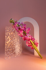 beautiful floral background for postcard design. pink flowers on a bright pink background.