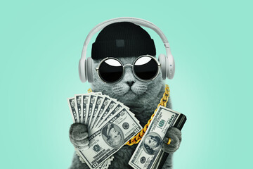 Cool rich successful hipster cat with sunglasses with gold chain holds many dollar bills on a light green background. Success, management and business, concept. Creative idea winner - obrazy, fototapety, plakaty