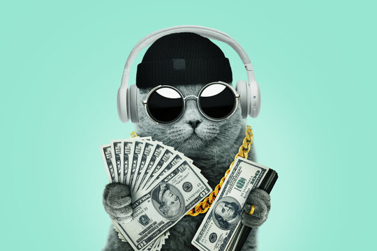 Cool rich successful hipster cat with sunglasses with gold chain holds many dollar bills on a light green background. Success, management and business, concept. Creative idea winner