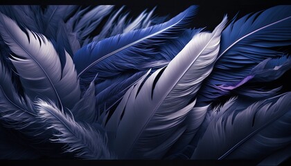 Blue feather texture pattern background