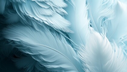 Fototapeta na wymiar White swan feather texture pattern background