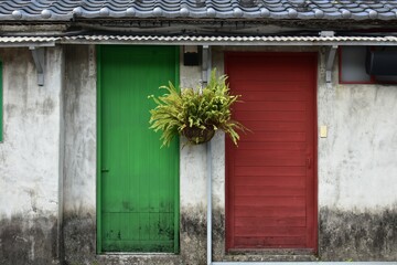 boston fern in a pot hang on between old traditional  wooden red and green doors ,chinese roof and grunge white wall