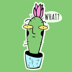 What.sticker of cute cactus in flowerpot. desert plant isolated.succulents with funny faces.Kawaii cactus