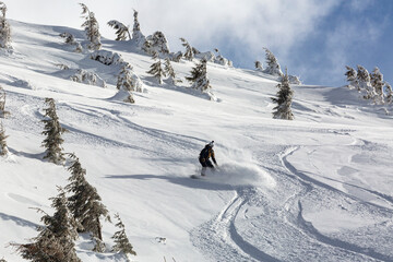 Riding untouched powder slopes with freeride snowboarding is a thrilling and exhilarating experience