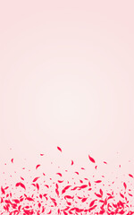 Ruby Floral Vector Pink Background. Flying Rose