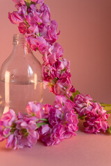 Pink flowers