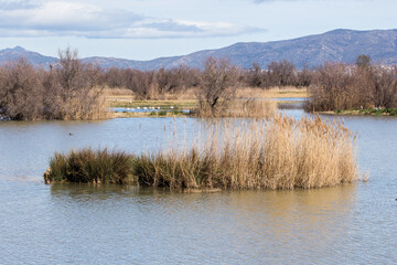 les aiguamolls paysage