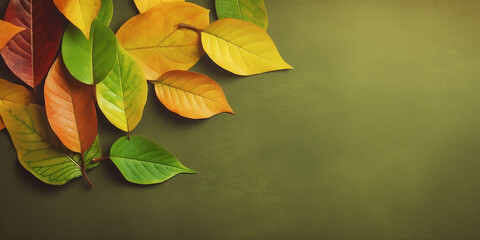 Varied autumn leaves positioned on a green backdrop, ideal for fall season advertising and decor.