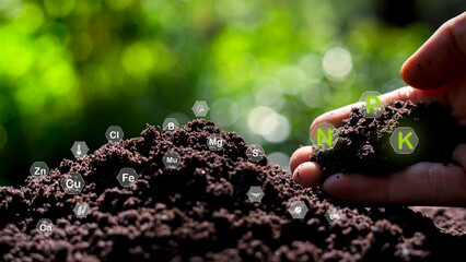 Monitor soil quality to control soil quality, soil composition concept of smart farm agricultural economic development. And there are technology icons about the composition of the soil around it.