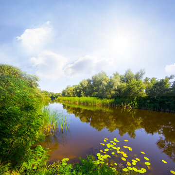 Small Calm River At The Hot Sumer Sunny Day