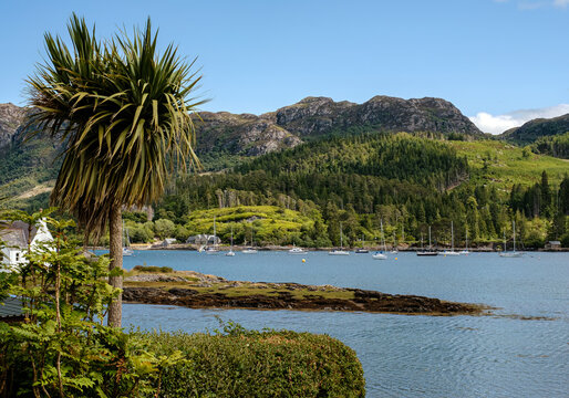 Plockton and Loch Carron