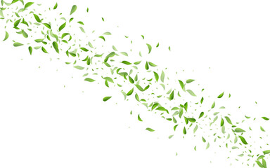Forest Greens Fresh Vector White Background