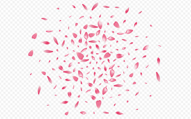 Bright Peach Vector Transparent Background.
