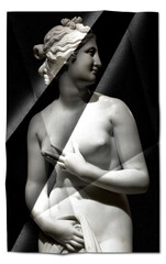 Creative picture of Venus statue - classical statue of young beautiful woman