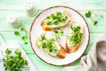 Open sandwich with cream cheese and micro greens at green background. Natural Healthy food, natural vitamins. Top view.