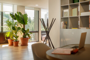 Indoor plants in an office with shelves, tables and large windows with views