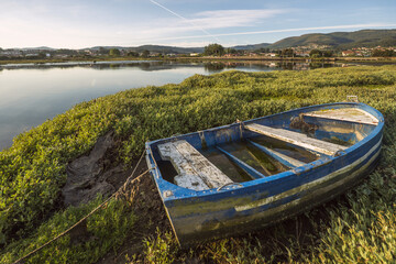 A beached blue sailor's raft drenched with water and damaged wood among the shoreline plants next to a cove at dawn