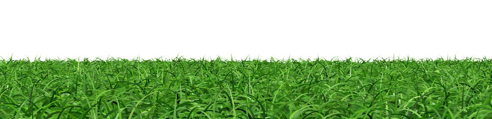 Obraz premium Abstract green grass and nature background image.,3d rendering
