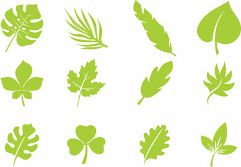 Collection of leaf icons. Leaves icon.Leaves of Different trees and plants. Elements design for natural, eco, bio, vegan labels, banner and poster. Editable vector, eps 10 format. 