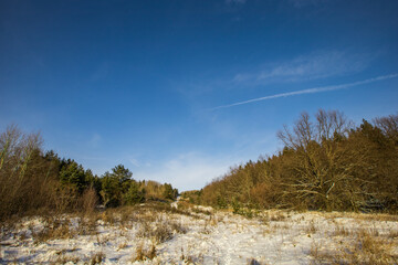 winter landscape in the countryside