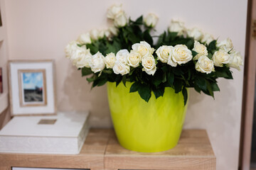 White roses flowers bouquet in green pot at home.