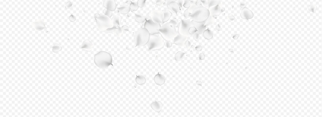 White Peach Vector Transparent Panoramic