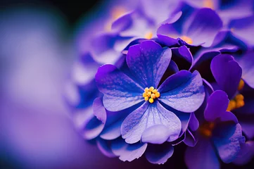 Muurstickers photography of purple petaled flower © id512