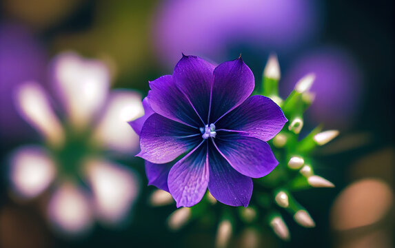 macro photography of purple flower, blur background