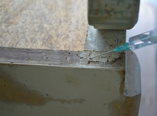 Inject product with a syringe to treat wood against insects.