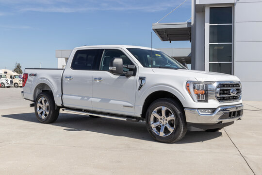 Ford F-150 display at a dealership. The Ford F150 is available in XL, XLT, Lariat, King Ranch, Platinum, and Limited models.
