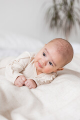 portrait of a cute baby in a light bodysuit lying on his stomach to the bed. The child is 4 months old. Space for text
