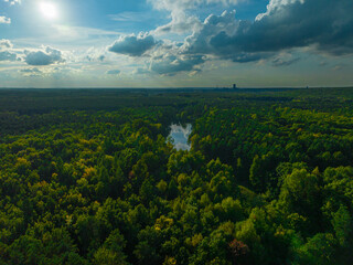 Obraz premium A view from the air on huge areas of the forest. Forest landscape concept, big forest. Environmental protection, care for nature.