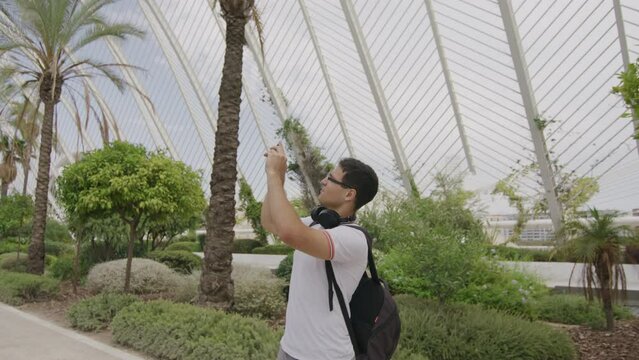 Young man taking pictures of green, lush palm trees with evergreen leaves. Tourist enjoying summer vacation in exotic city park full of greenery. High quality 4k footage