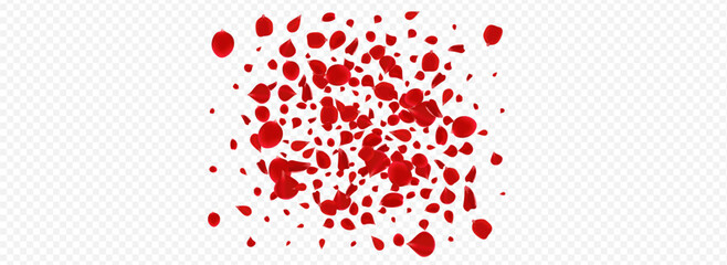 Beautiful Peach Tender Vector Panoramic