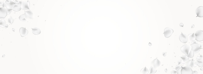 Delicate Peach Vector Light Panoramic Background.