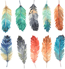 A set of multi-colored feathers. To create designs for Easter.
