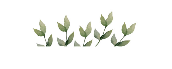 green grass with leaves