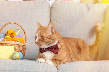 Fototapeta na wymiar Cute cat and Easter basket on sofa