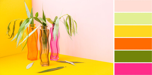 Fresh green leaves in glass vases on color background. Different color patterns