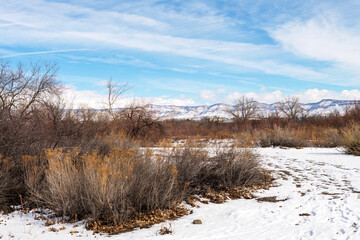 Winter landscape in western Colorado near Grand Junction with snow