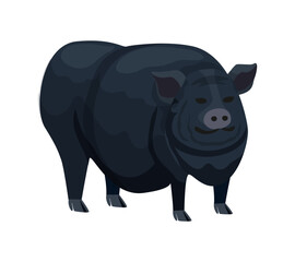 Flat Pig Illustration