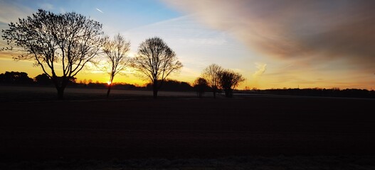 sunset over the field
